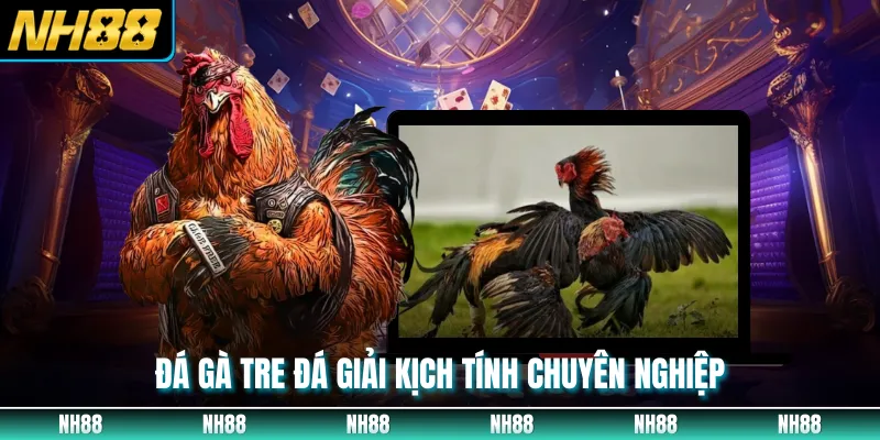 Đá gà tre đá giải kịch tính chuyên nghiệp